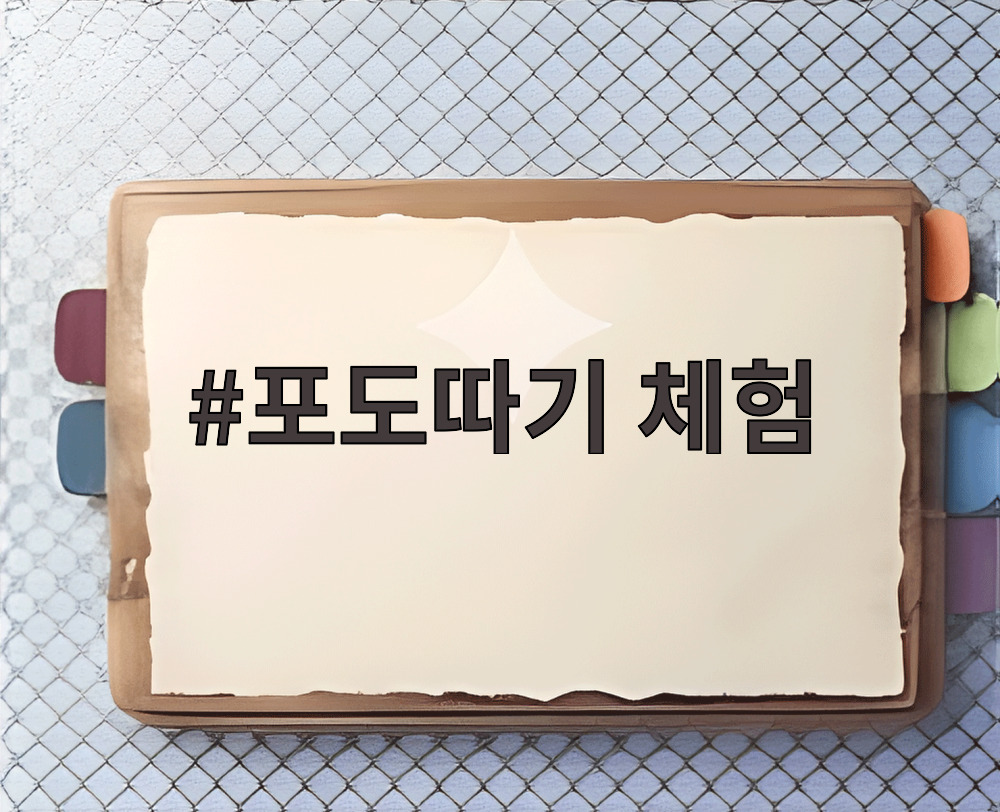 포도따기 체험