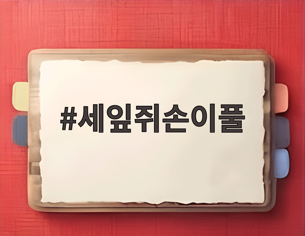 세잎쥐손이풀