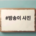 밤송이 사진