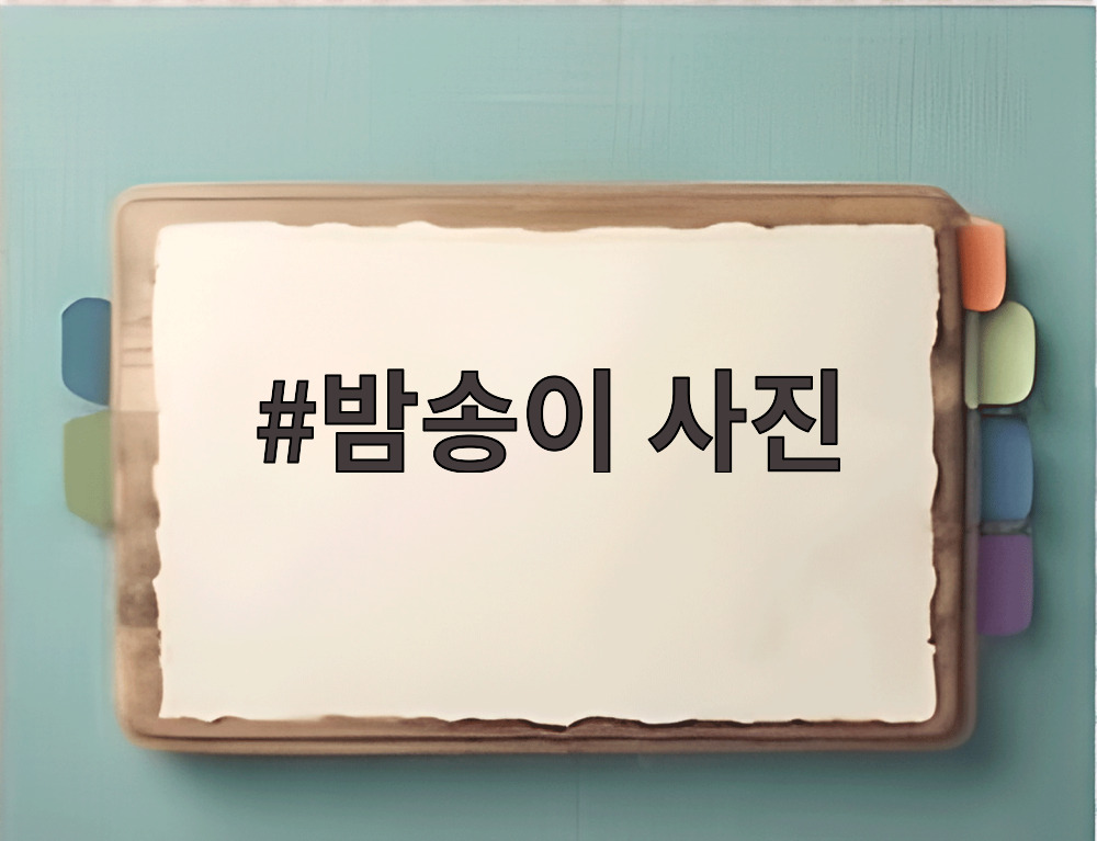 밤송이 사진