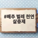 배추 벌레 천연 살충제 만들기 배추 벌레 천연 살충제