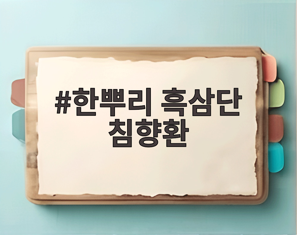 한뿌리 흑삼단 침향환