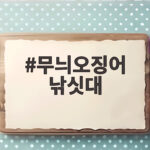 무늬오징어 낚싯대 초보 채비 완벽 정리 무늬오징어 낚싯대