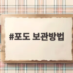 신선하게 오래 보관하는 포도 보관방법 포도 보관방법