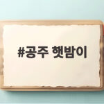 공주 햇밤이