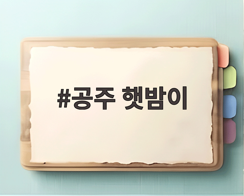 공주 햇밤이