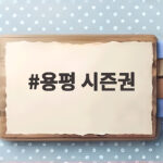 용평 시즌권
