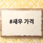 새우 가격