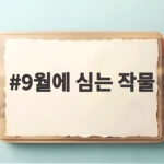 9월에 심는 작물