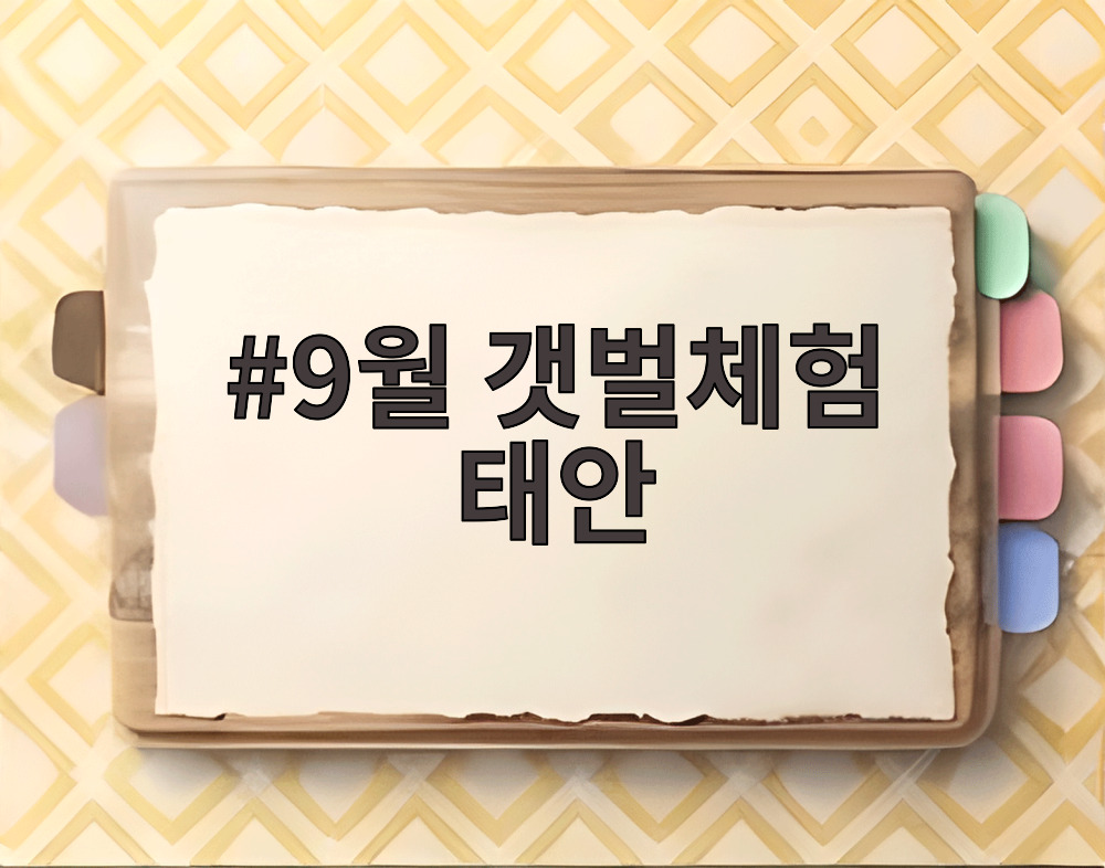 9월 갯벌체험 태안에서 가족들이 바지락을 캐는 모습