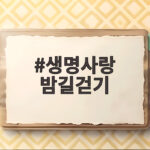 생명사랑 밤길걷기 9월 여의도 걷기 축제 정보 생명사랑 밤길걷기