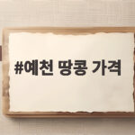 예천 땅콩 가격 시세와 구매 꿀팁 예천 땅콩 가격