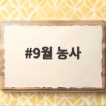 9월 농사