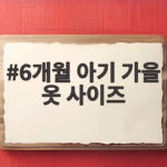 6개월 아기 가을 옷 사이즈 6개월 아기 가을 옷 사이즈
