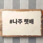 2026 나주 햇배 아삭한 가을의 첫맛 나주 햇배