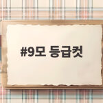 9모 등급컷