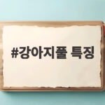 강아지풀 특징
