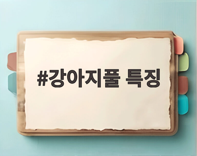 강아지풀 특징