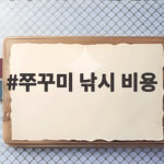 쭈꾸미 낚시 비용 얼마일까 시즌별 가격 정리 쭈꾸미 낚시 비용