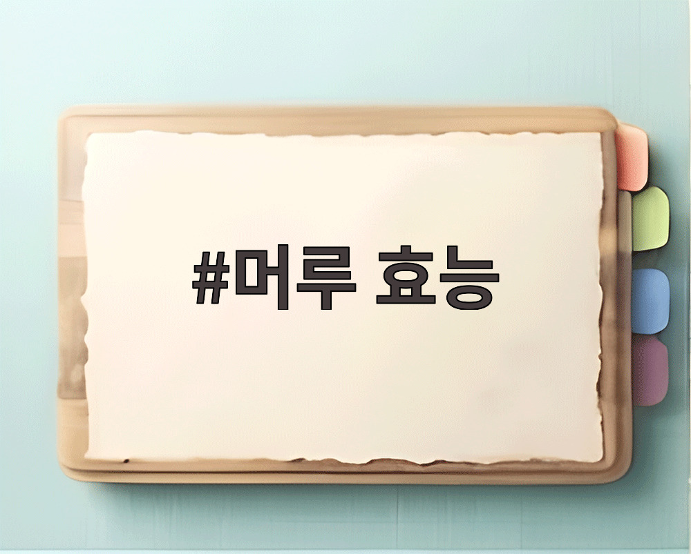 머루 효능