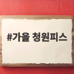 가을 청원피스 코디 완전 정복 가을 청원피스