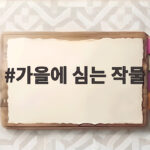가을에 심는 작물