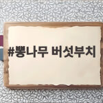 뽕나무버섯부치 효능과 채취시기 요리 뽕나무 버섯부치