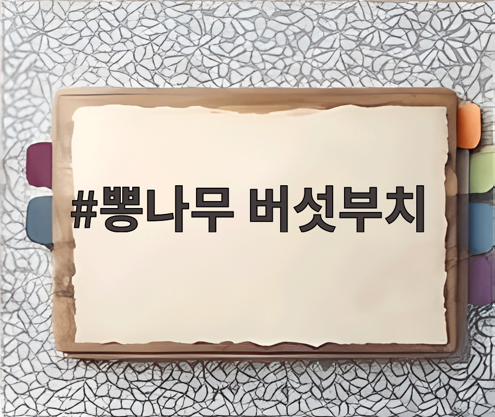 뽕나무 버섯부치