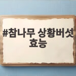 참나무 상황버섯 효능