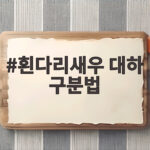흰다리새우 대하 구분법