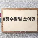 장수말벌 쏘이면 즉시 대처하는 법 장수말벌 쏘이면