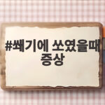 쐐기에 쏘였을때 증상과 신속한 대처법 쐐기에 쏘였을때 증상