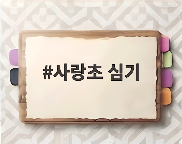 사랑초 심기
