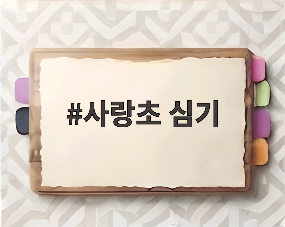 사랑초 심기