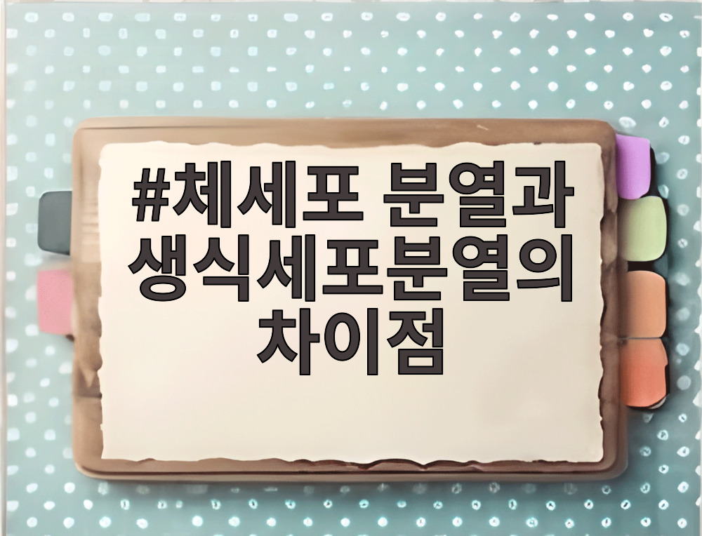 체세포 분열과 생식세포분열의 차이점