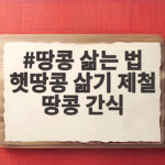 햇땅콩 삶는 법 제철 간식으로 즐기기 땅콩 삶는 법 햇땅콩 삶기 제철 땅콩 간식