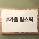 가을 립스틱 웜톤 추천 컬러 모음 가을 립스틱