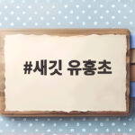 새깃 유홍초 별꽃 키우기와 씨앗 채종 새깃 유홍초