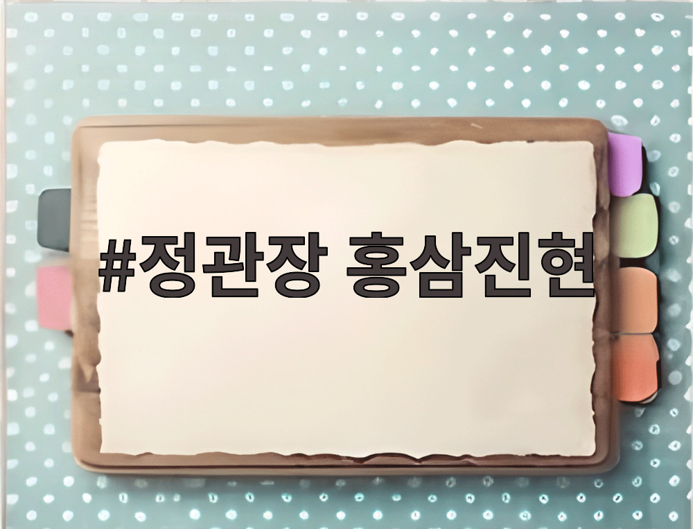정관장 홍삼진현