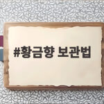 황금향 보관법
