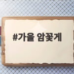가을 암꽃게 제철 시기 숫꽃게 구별법 가을 암꽃게