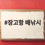 장고항 배낚시 초보 출조 준비와 손맛 장고항 배낚시