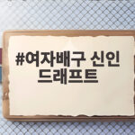 여자배구 신인 드래프트 향후 5년 결정 여자배구 신인 드래프트