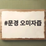 문경 오미자즙