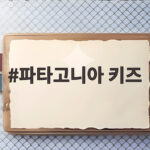 파타고니아 키즈