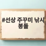 선상 주꾸미 낚시 봉돌 무게 선택과 운용 팁 선상 주꾸미 낚시 봉돌