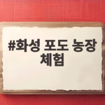 화성 포도 농장 체험 일정과 준비물 화성 포도 농장 체험