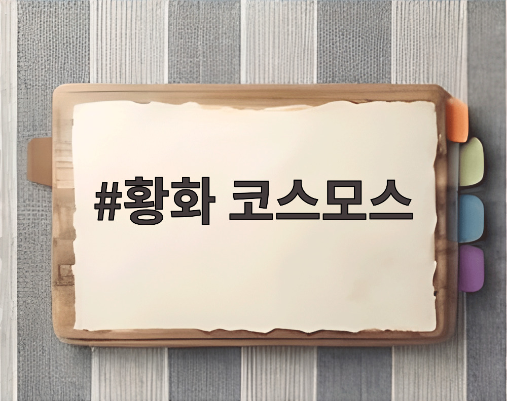 황화 코스모스