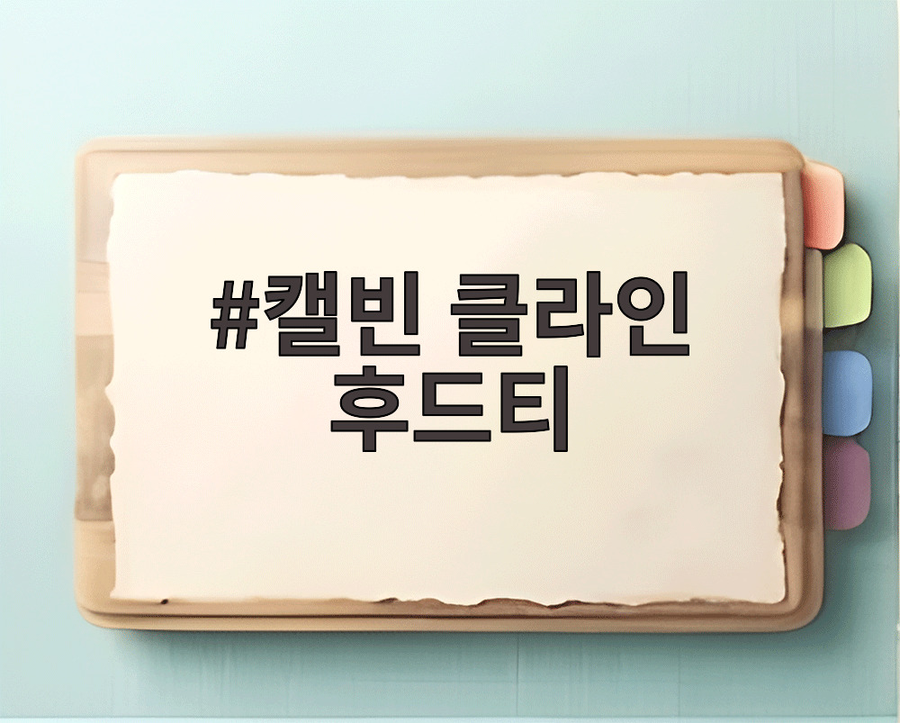 캘빈 클라인 후드티