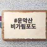 운악산 비가림포도